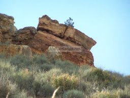 Castillo de Alcala 2009